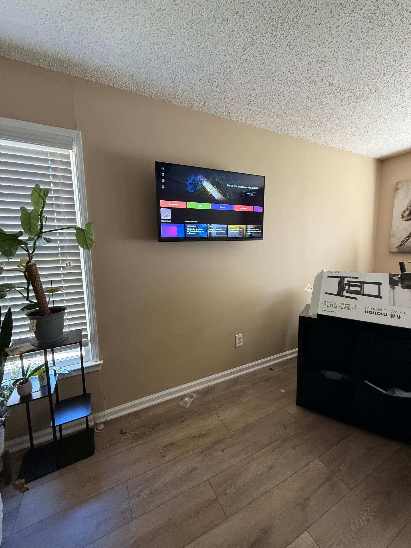 TV mounted with surface raceway wire management system in Rome, GA