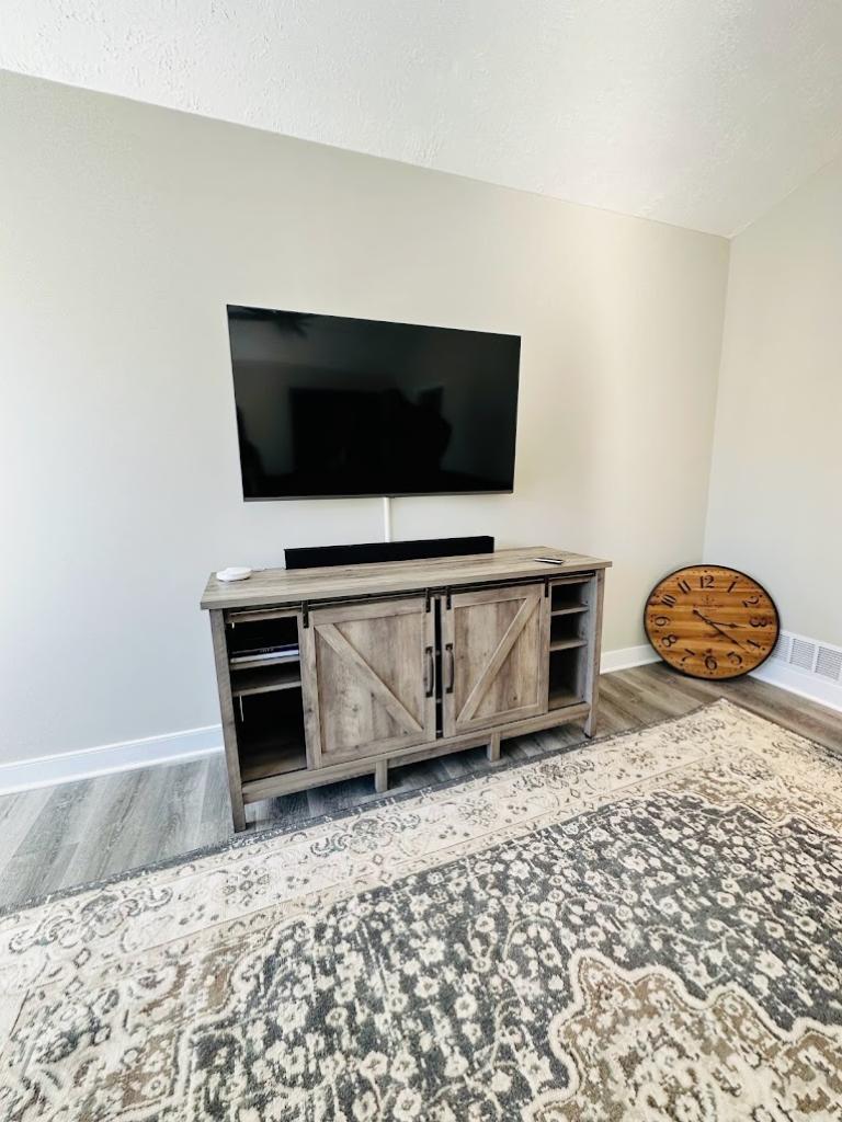 TV Mounting Service in Dallas Georgia